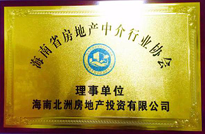 2016年海南省房地产销售代理行业协会理事单位